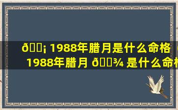 🐡 1988年腊月是什么命格（1988年腊月 🌾 是什么命格的人）